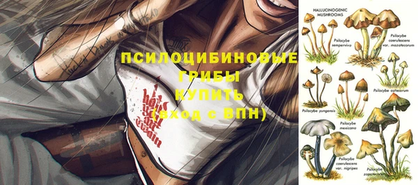 spice Алексеевка