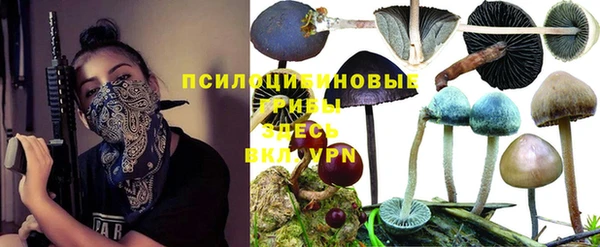 spice Алексеевка