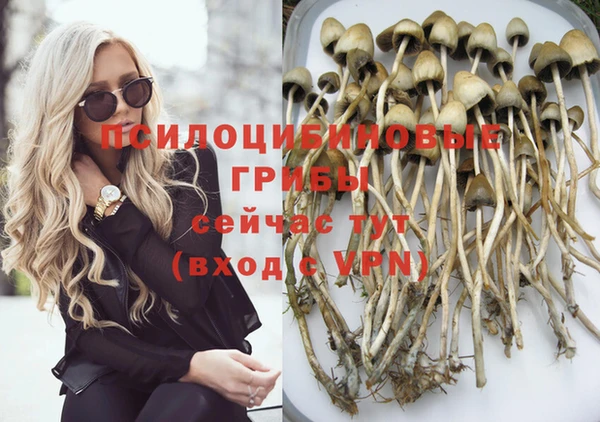 spice Алексеевка
